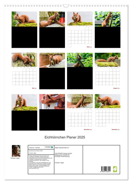 Eichhörnchen Planer 2025 (CALVENDO Wandkalender 2025)