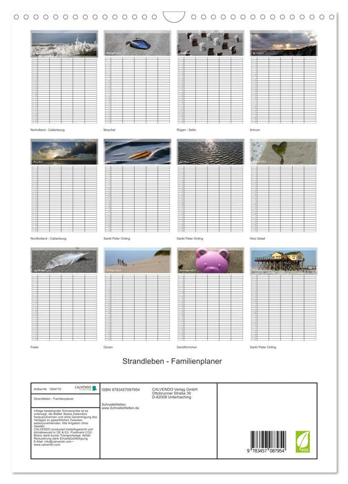 Strandleben - Familienplaner (CALVENDO Wandkalender 2025)