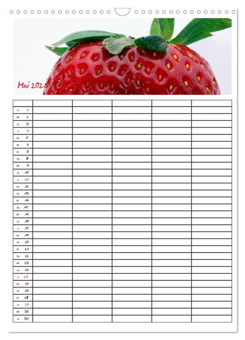 FOOD -Familienkalender (CALVENDO Wandkalender 2025)