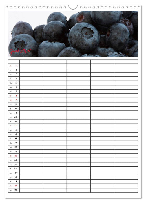 FOOD -Familienkalender (CALVENDO Wandkalender 2025)