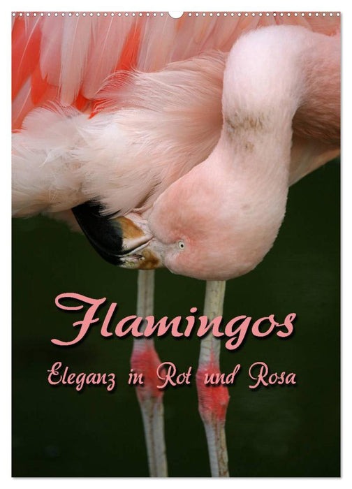 Flamingos - Eleganz in Rot und Rosa (CALVENDO Wandkalender 2025)