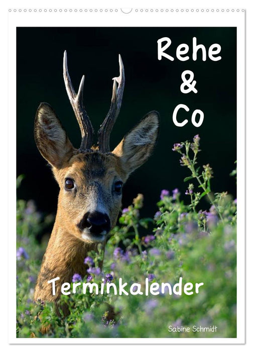 Rehe & Co / Planer (CALVENDO Wandkalender 2025)