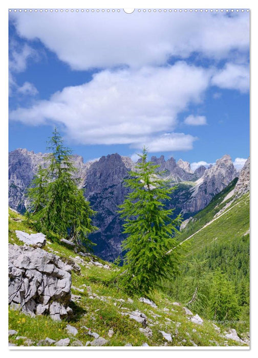 Bergwelt im Licht (CALVENDO Wandkalender 2025)