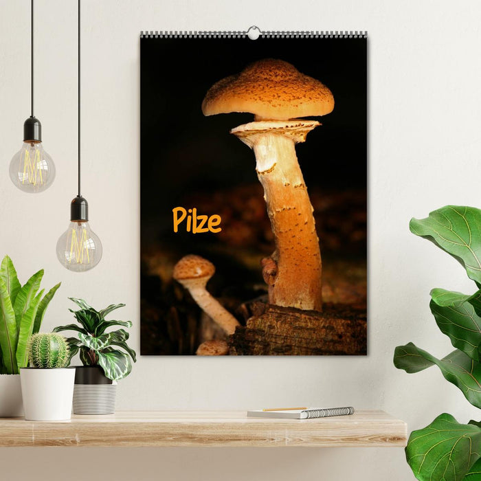 Pilze (CALVENDO Wandkalender 2025)