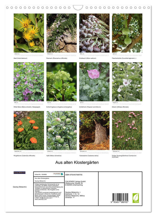 Aus alten Klostergärten (CALVENDO Wandkalender 2025)
