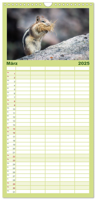 Wildtierkalender (CALVENDO Familienplaner 2025)