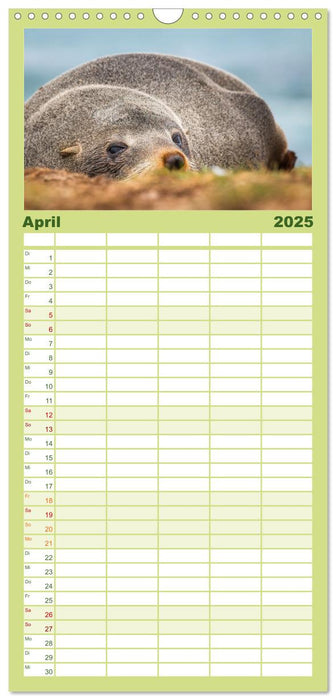 Wildtierkalender (CALVENDO Familienplaner 2025)