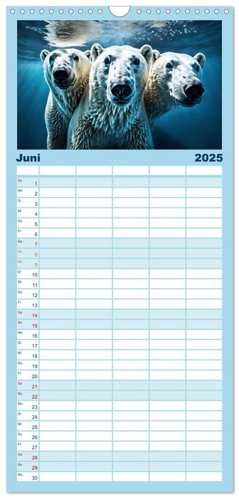 Im magischen Land der Eisbären (CALVENDO Familienplaner 2025)