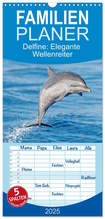 Delfine: Elegante Wellenreiter (CALVENDO Familienplaner 2025)