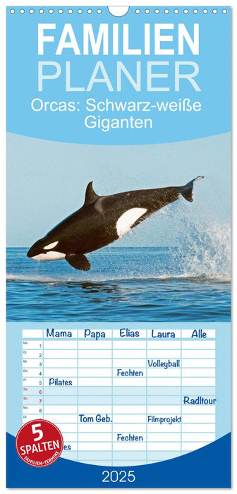 Orcas: Schwarz-weiße Giganten (CALVENDO Familienplaner 2025)