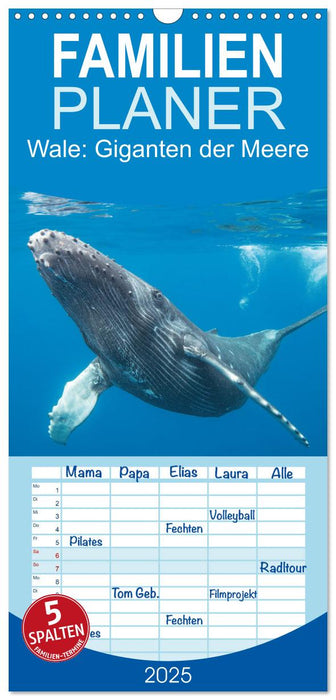 Wale: Giganten der Meere (CALVENDO Familienplaner 2025)