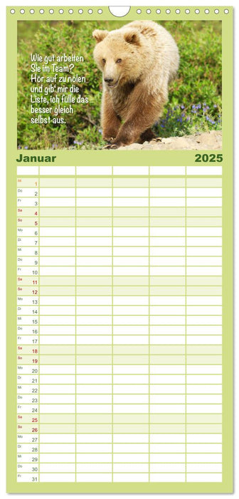 Spaß mit Bären: Edition lustige Tiere (CALVENDO Familienplaner 2025)