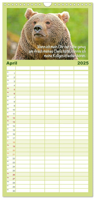 Spaß mit Bären: Edition lustige Tiere (CALVENDO Familienplaner 2025)