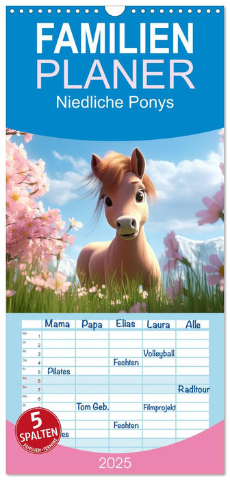 Niedliche Ponys (CALVENDO Familienplaner 2025)