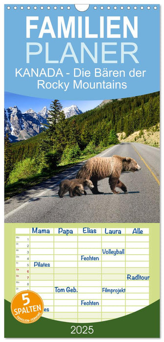 KANADA - Die Bären der Rocky Mountains (CALVENDO Familienplaner 2025)