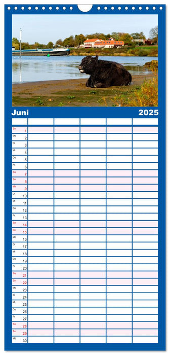 Venlo (CALVENDO Familienplaner 2025)