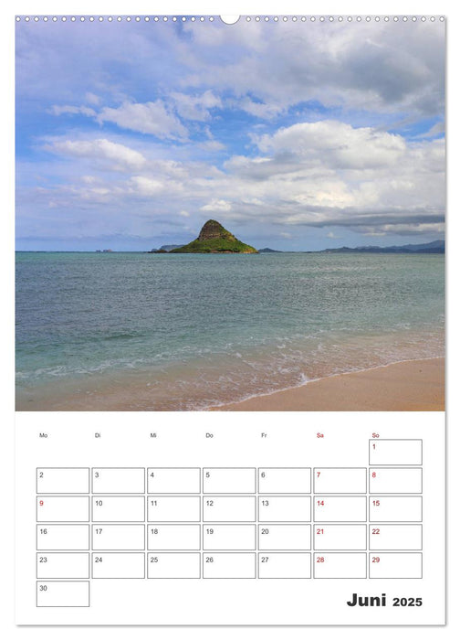 Hawaii - Reiseplaner (CALVENDO Premium Wandkalender 2025)