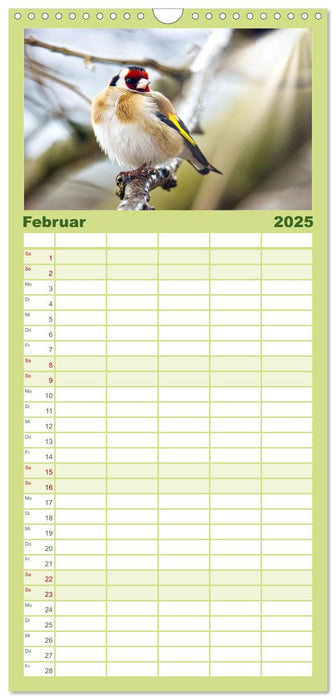 Finkenparade (CALVENDO Familienplaner 2025)