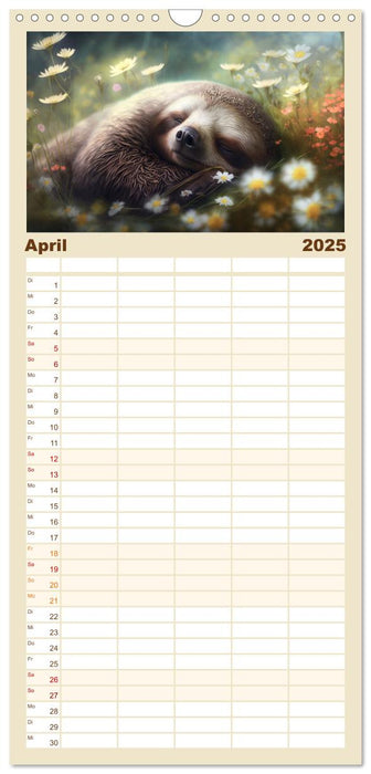 Der Kalender für echte Faultiere (CALVENDO Familienplaner 2025)