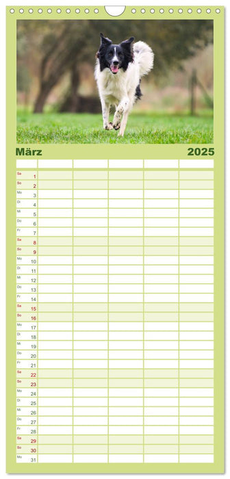 Fröhliche Hunde (CALVENDO Familienplaner 2025)