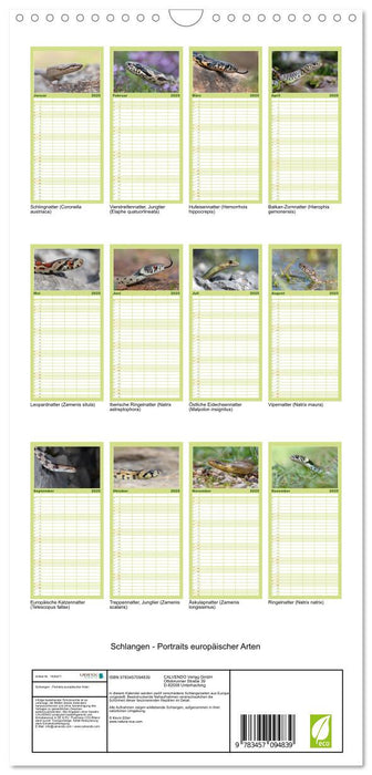 Schlangen - Portraits europäischer Arten (CALVENDO Familienplaner 2025)