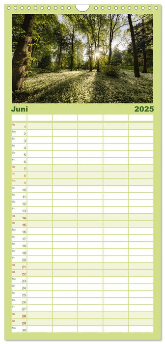 Naturparadies Pfälzerwald (CALVENDO Familienplaner 2025)