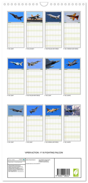 VIPER ACTION - F-16 FIGHTING FALCON (CALVENDO Familienplaner 2025)