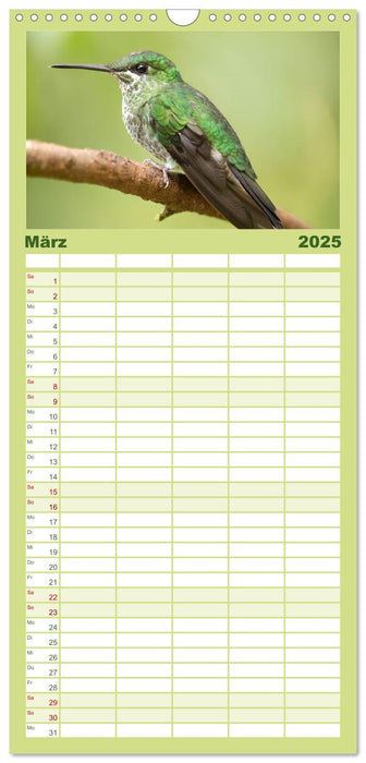 Zauberhafte Kolibris in Costa Rica (CALVENDO Familienplaner 2025)