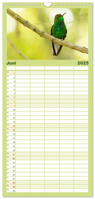 Zauberhafte Kolibris in Costa Rica (CALVENDO Familienplaner 2025)