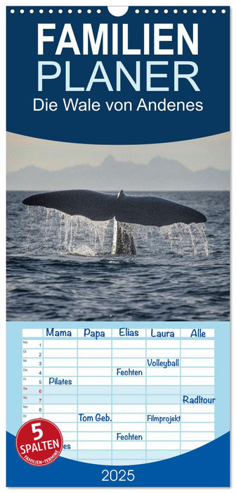 Die Wale von Andenes (CALVENDO Familienplaner 2025)