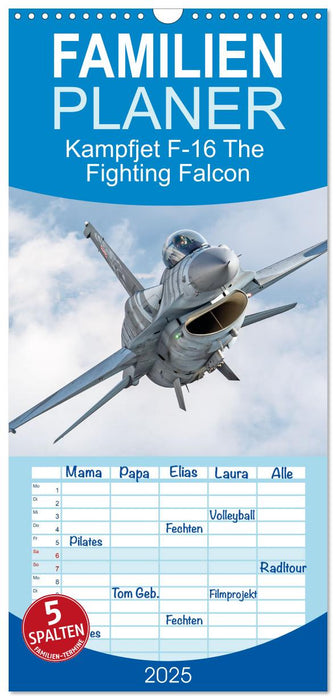 Kampfjet F-16 The Fighting Falcon (CALVENDO Familienplaner 2025)