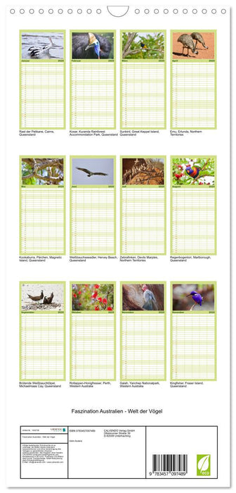 Faszination Australien - Welt der Vögel (CALVENDO Familienplaner 2025)