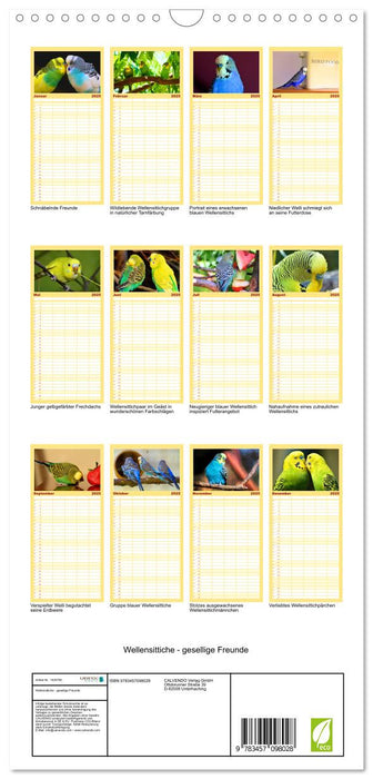 Wellensittiche - gesellige Freunde (CALVENDO Familienplaner 2025)
