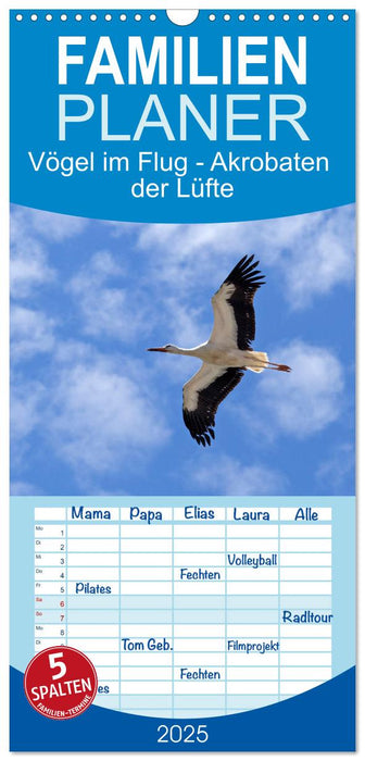 Vögel im Flug - Akrobaten der Lüfte (CALVENDO Familienplaner 2025)
