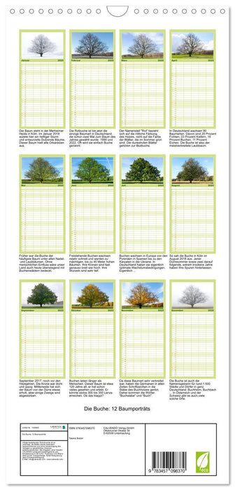 Die Buche: 12 Baumporträts (CALVENDO Familienplaner 2025)
