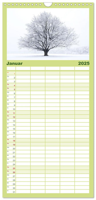 Die Buche: 12 Baumporträts (CALVENDO Familienplaner 2025)