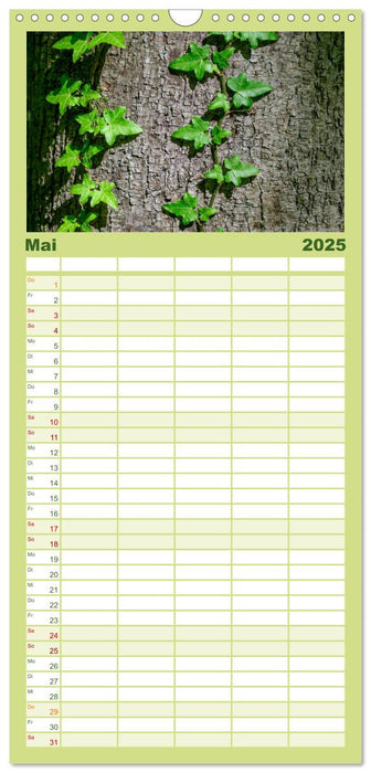 Auwälder bei Enns (CALVENDO Familienplaner 2025)