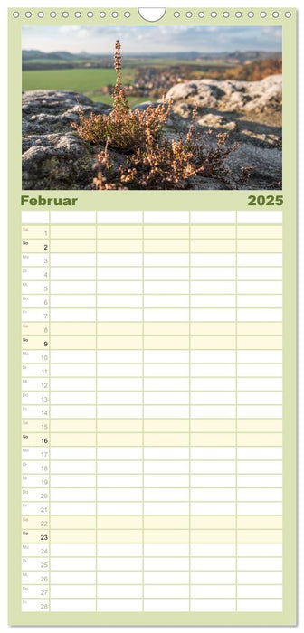 Zauberhaftes Heidekraut - Elbsandstein (CALVENDO Familienplaner 2025)