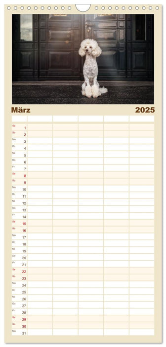 Hunde in der City - Unterwegs in Hamburg (CALVENDO Familienplaner 2025)