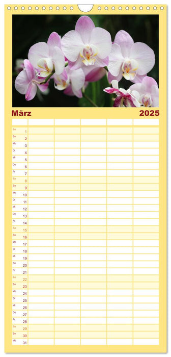 Mein Orchideentraum (CALVENDO Familienplaner 2025)