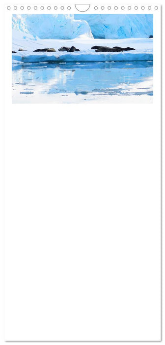 Arktis und Antarktis - Eisig durch das Jahr (CALVENDO Familienplaner 2025)