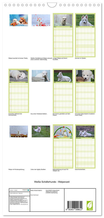 Weiße Schäferhunde - Welpenzeit (CALVENDO Familienplaner 2025)