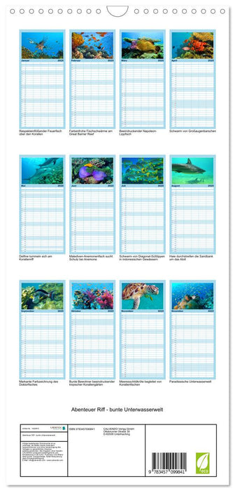 Abenteuer Riff - bunte Unterwasserwelt (CALVENDO Familienplaner 2025)