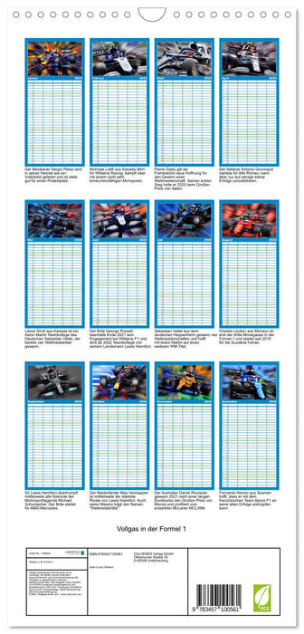 Vollgas in der Formel 1 (CALVENDO Familienplaner 2025)
