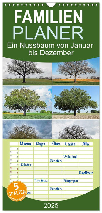 Ein Nussbaum von Januar bis Dezember (CALVENDO Familienplaner 2025)