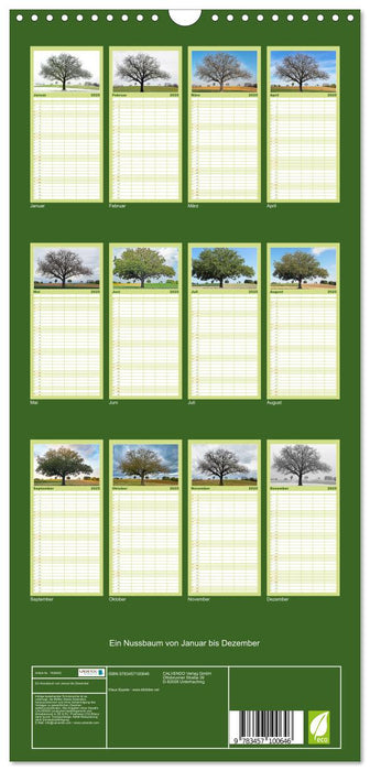 Ein Nussbaum von Januar bis Dezember (CALVENDO Familienplaner 2025)