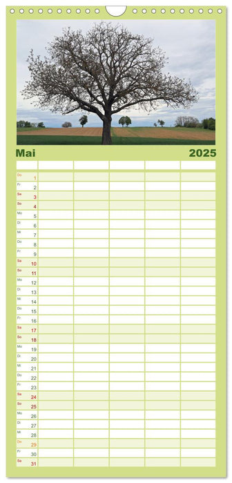 Ein Nussbaum von Januar bis Dezember (CALVENDO Familienplaner 2025)