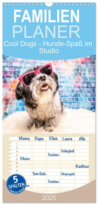 Cool Dogs - Hunde-Spaß im Studio (CALVENDO Familienplaner 2025)