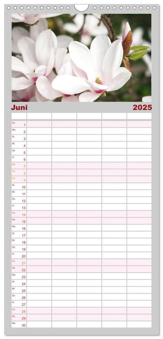 Magnolien Ein Blütenrausch (CALVENDO Familienplaner 2025)