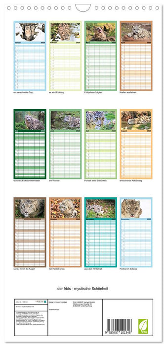 der Irbis - mystische Schönheit (CALVENDO Familienplaner 2025)